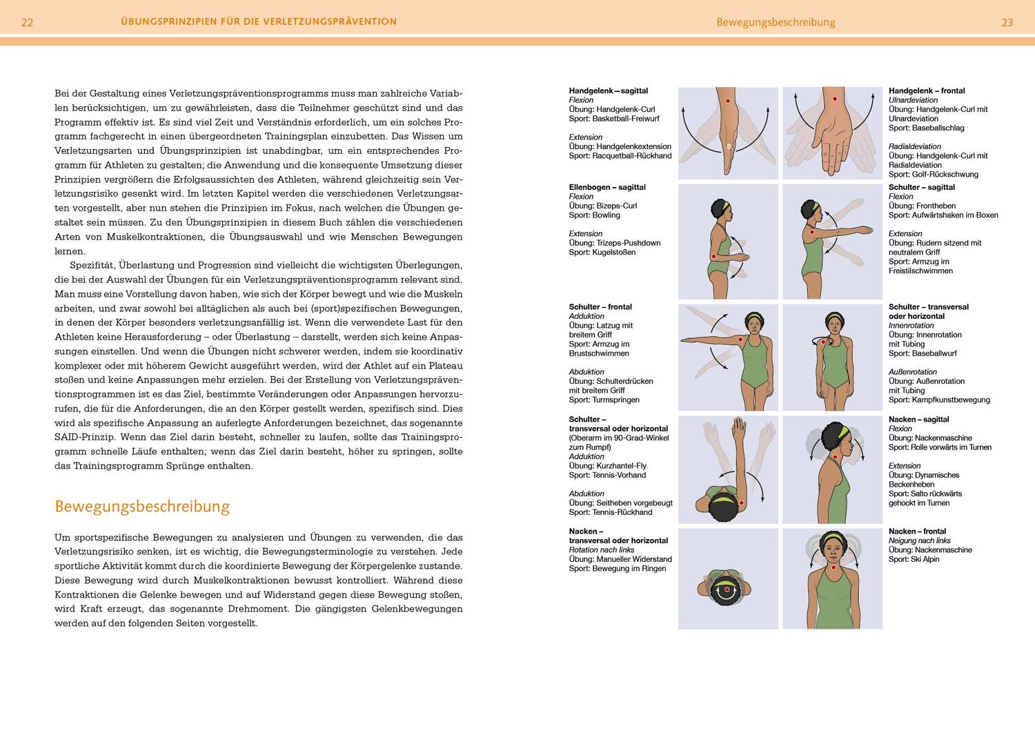 Bild: 9783742324047 | Prävention von Sportverletzungen - Anatomie | David Potach (u. a.)