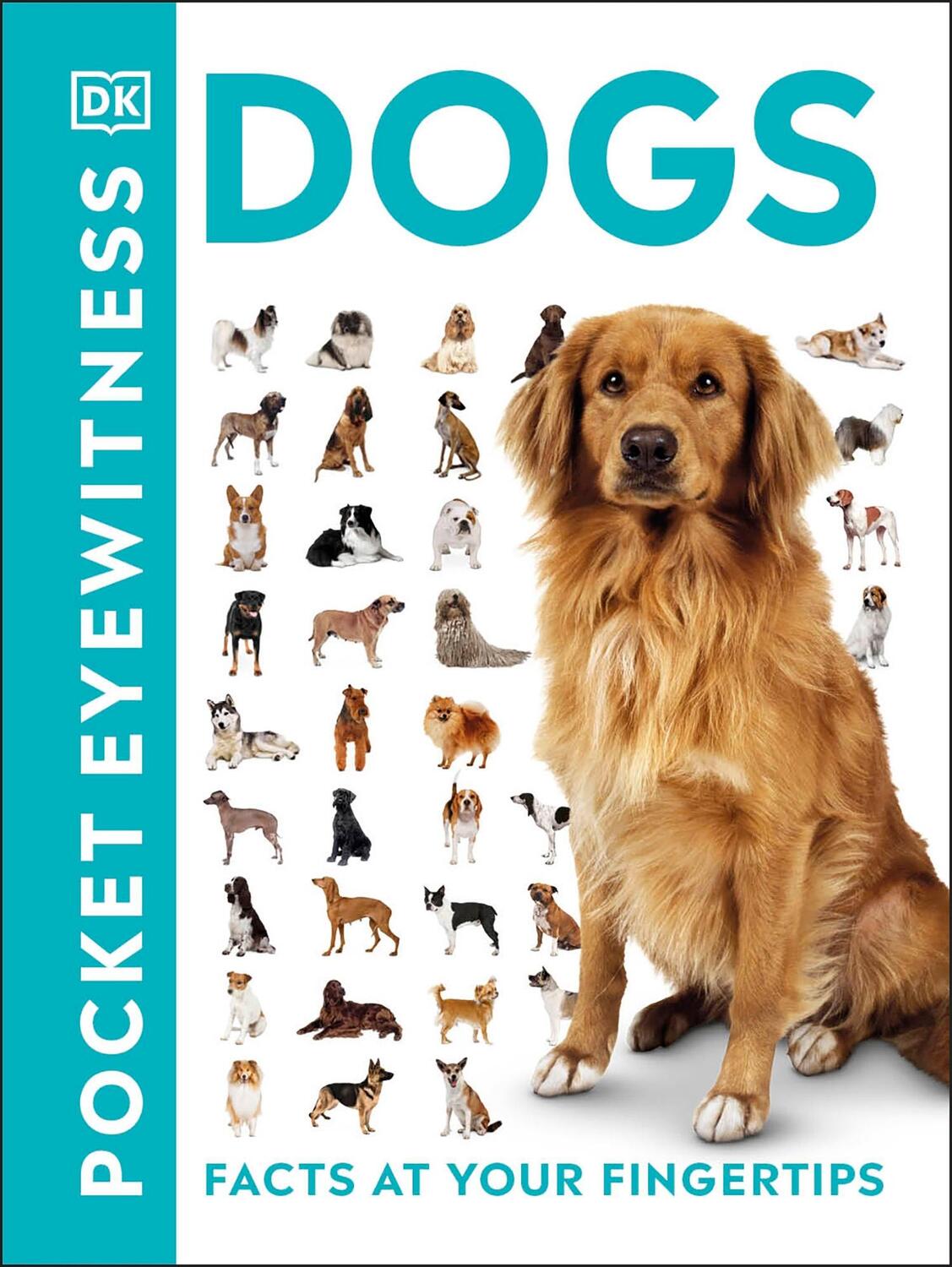 Cover: 9780241343609 | Pocket Eyewitness Dogs | Facts at Your Fingertips | Dk | Taschenbuch