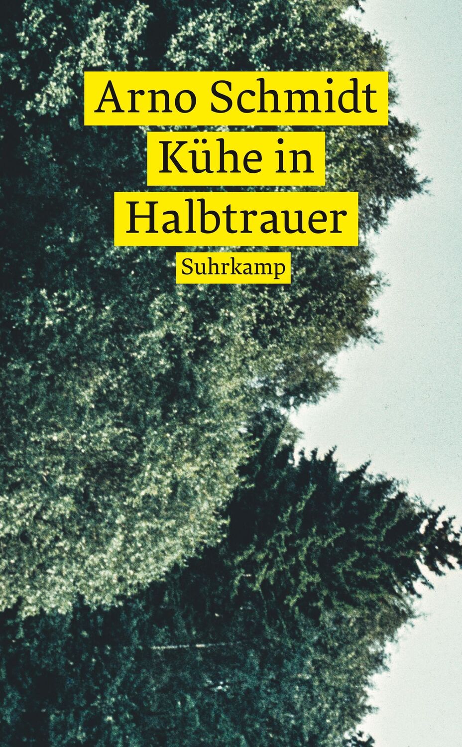 Cover: 9783518472729 | Kühe in Halbtrauer | Arno Schmidt | Taschenbuch | 297 S. | Deutsch