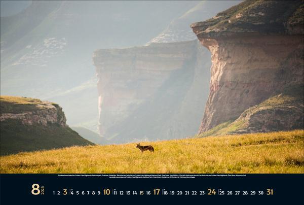 Bild: 9783731880073 | Wilde Tiere - weite Landschaft 2025 | Verlag Korsch | Kalender | 14 S.