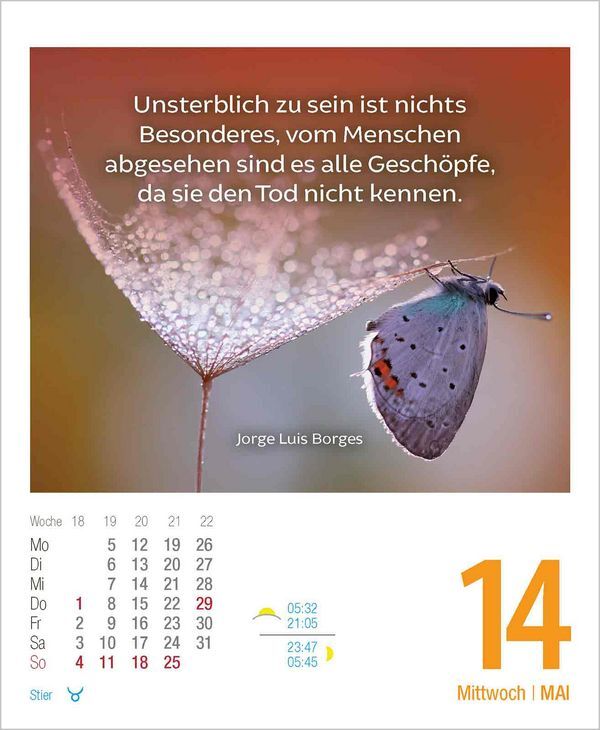 Bild: 9783731877356 | Lebensweisheiten 2025 | Korsch Verlag | Kalender | 328 S. | Deutsch