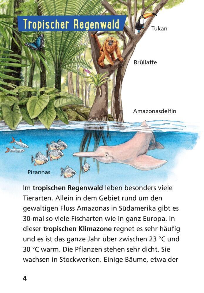 Bild: 9783551242259 | Pixi Wissen 42: Tiere der Welt | Jürgen Beckhoff | Taschenbuch | 2022