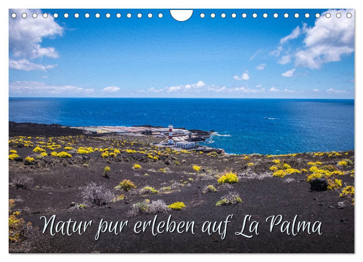 Cover: 9783435328413 | Natur pur erleben auf La Palma (Wandkalender 2025 DIN A4 quer),...