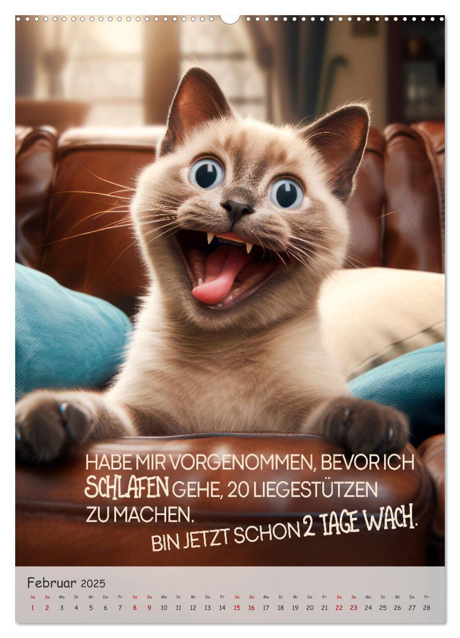 Bild: 9783383771460 | COOLE KATZEN Sprücheklopfer (Wandkalender 2025 DIN A2 hoch),...