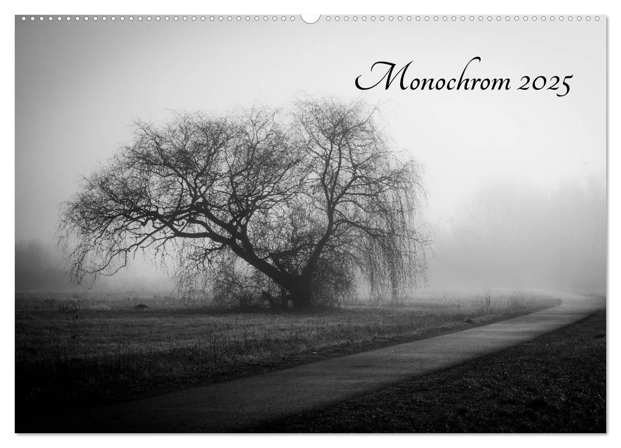 Cover: 9783435567225 | Monochrom 2025 (Wandkalender 2025 DIN A2 quer), CALVENDO...