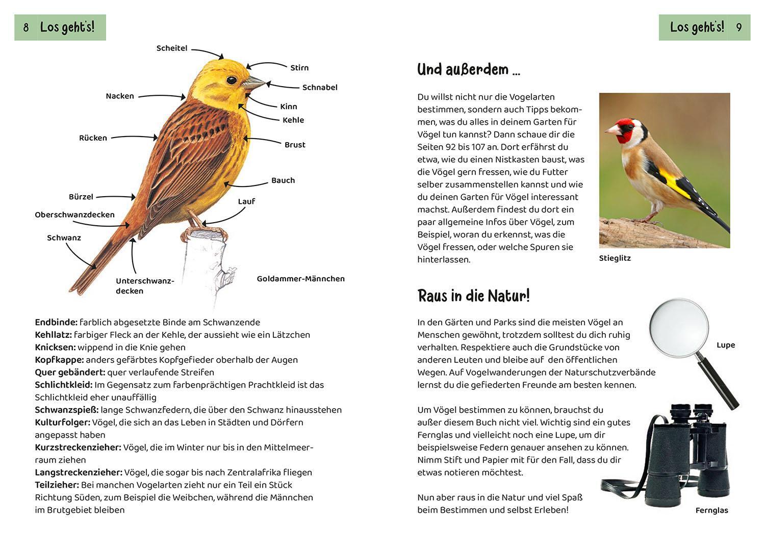 Bild: 9783440175736 | Welcher Gartenvogel ist das? Kindernaturführer | Holger Haag | Buch