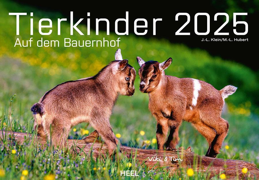 Cover: 9783966648349 | Tierkinder auf dem Bauernhof Kalender 2025 | J. -L. Klein (u. a.)