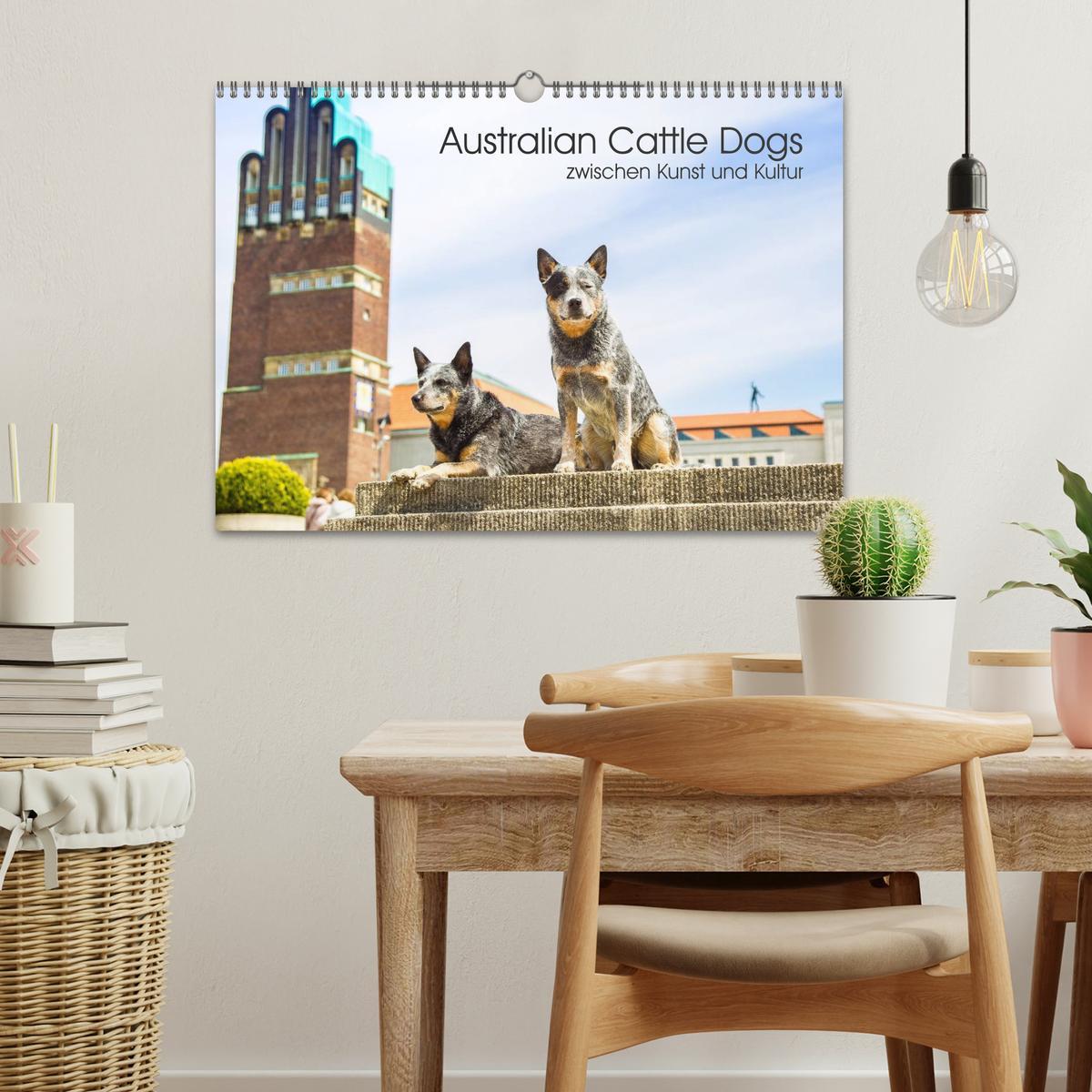 Bild: 9783435463558 | Australian Cattle Dogs zwischen Kunst und Kultur (Wandkalender 2025...