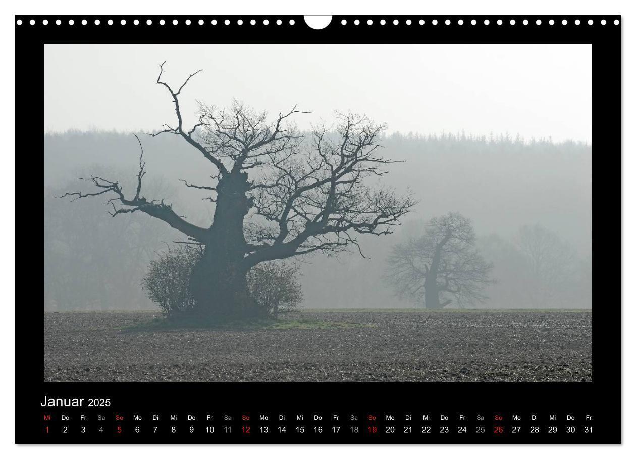 Bild: 9783435626441 | Märchenhafter Reinhardswald und Urwald Sababurg (Wandkalender 2025...