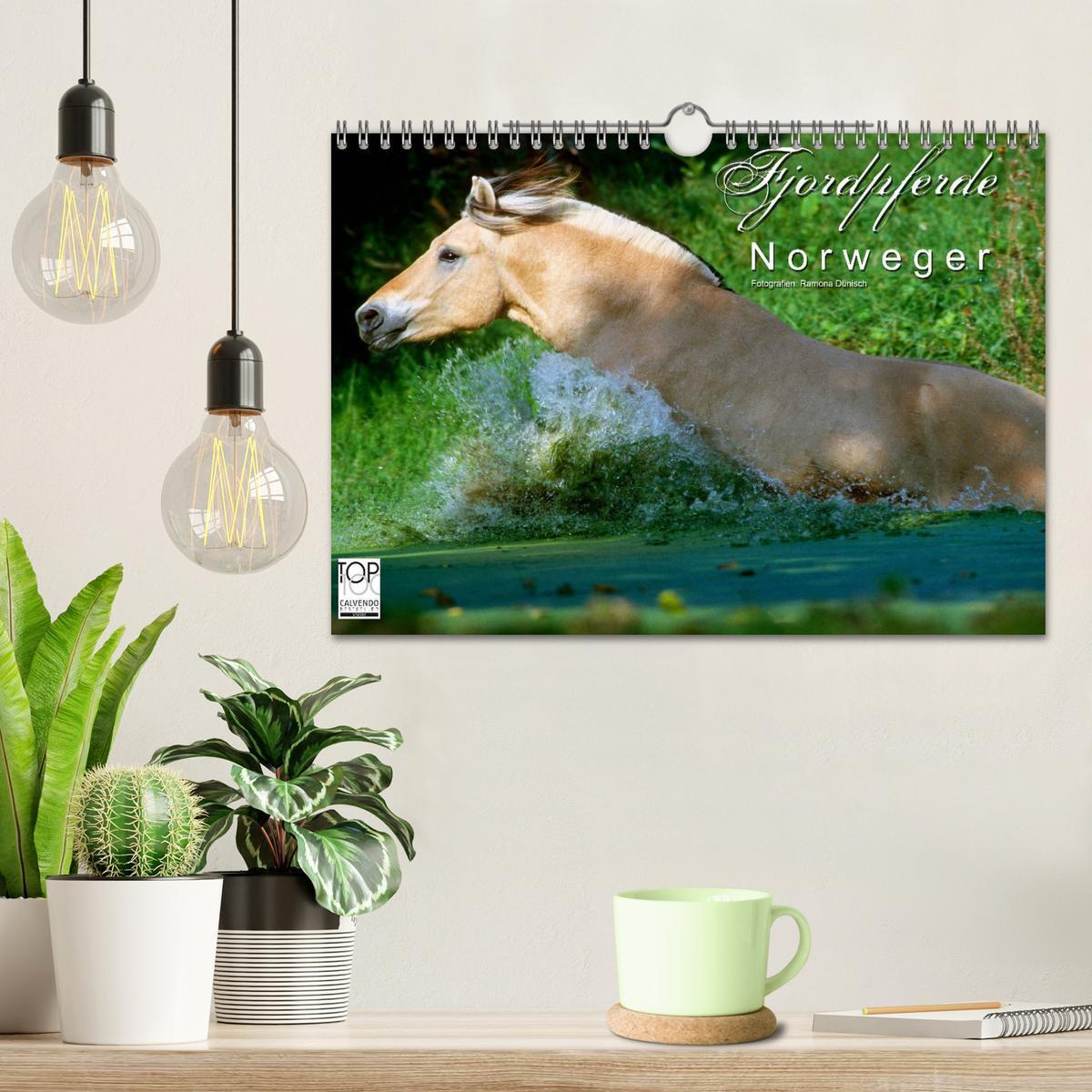 Bild: 9783435754533 | Fjordpferde - Norweger (Wandkalender 2025 DIN A4 quer), CALVENDO...