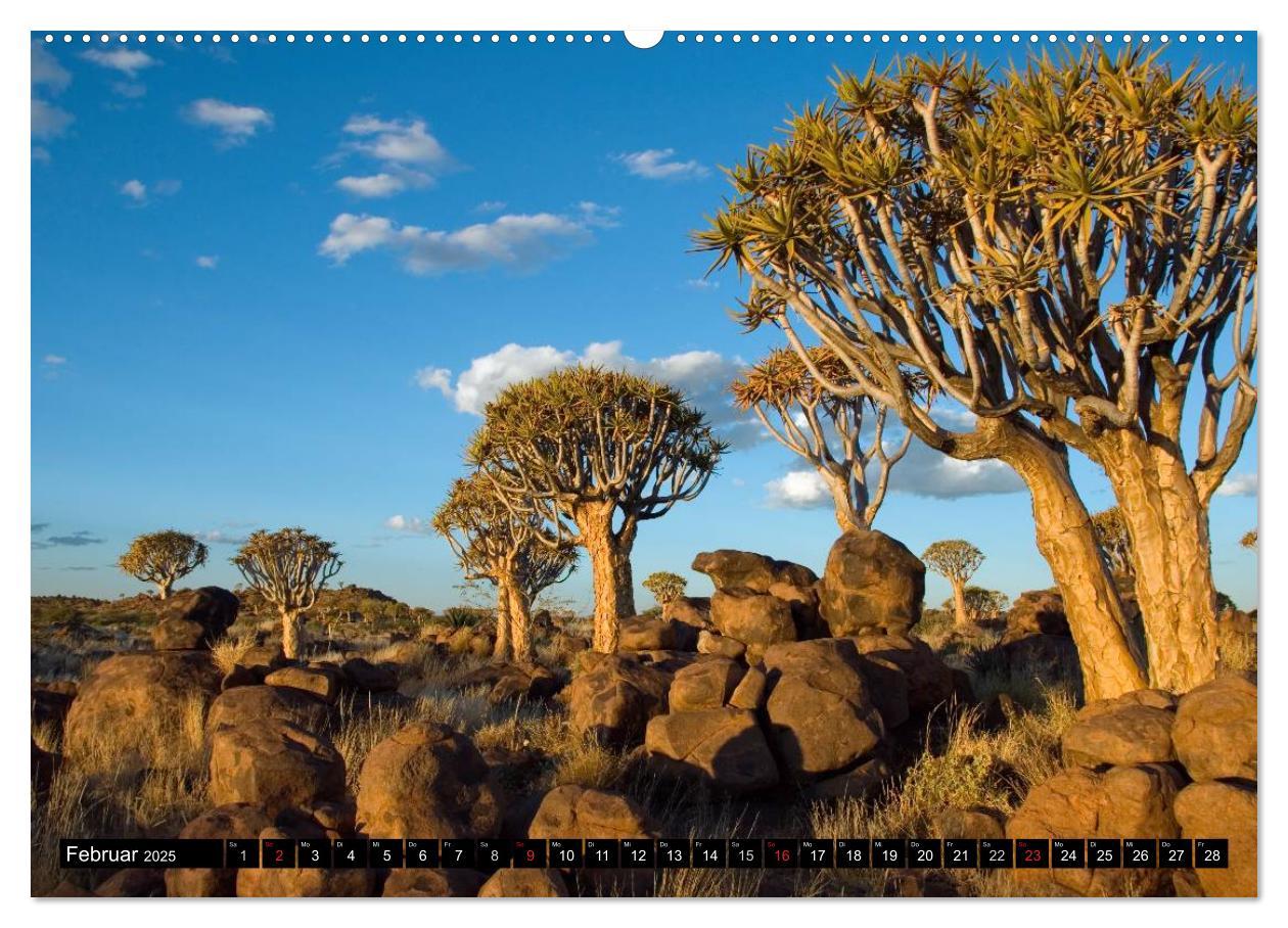 Bild: 9783435816804 | Faszination Namibia (Wandkalender 2025 DIN A2 quer), CALVENDO...