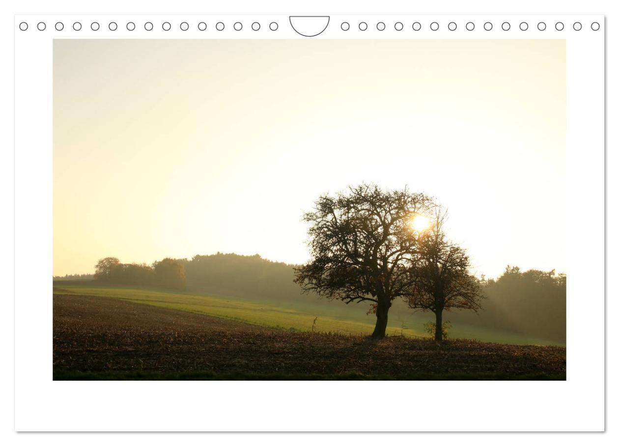 Bild: 9783435405565 | Zauberhafte Landschaften im Odenwald (Wandkalender 2025 DIN A4...