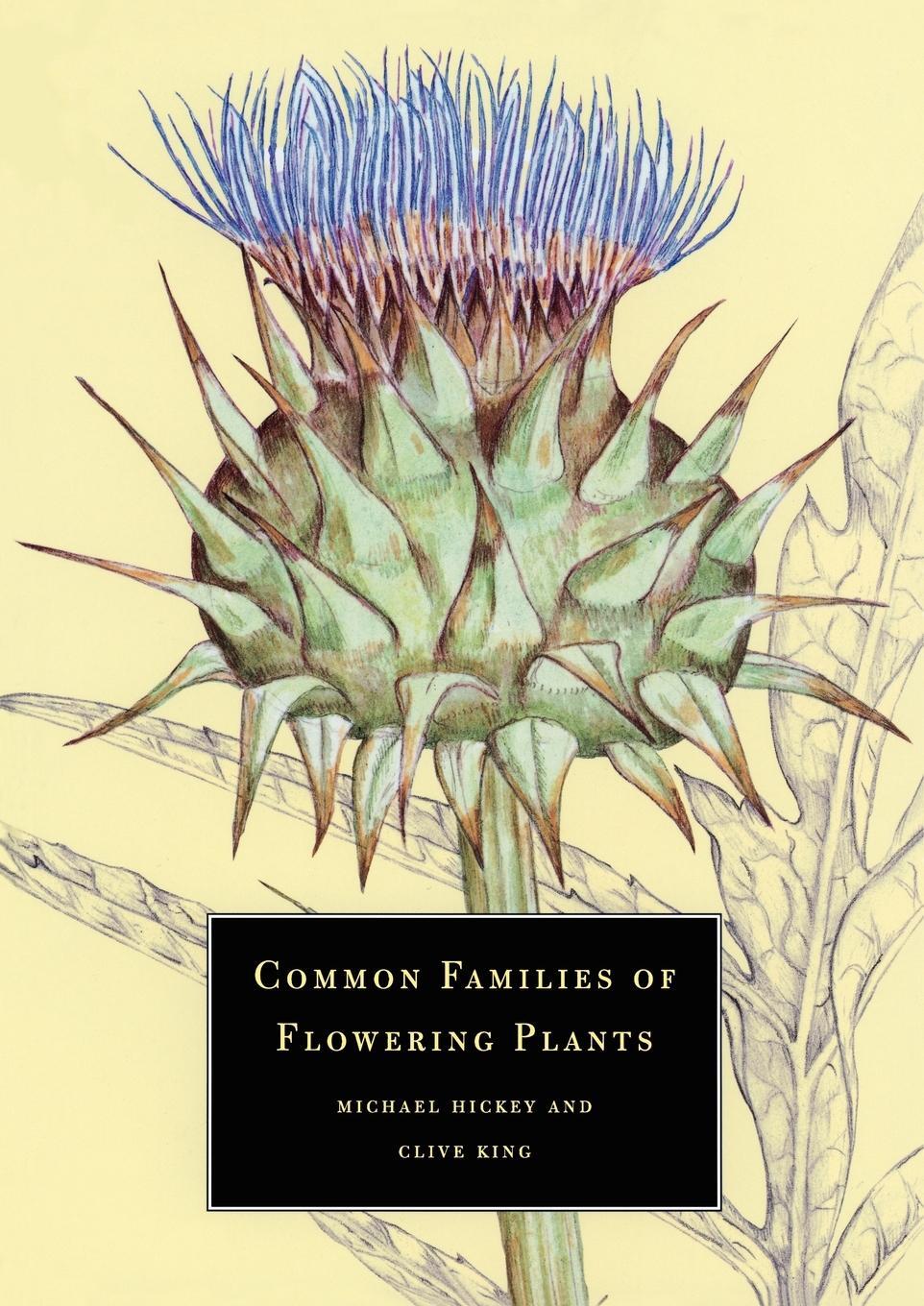 Cover: 9780521576093 | Common Families of Flowering Plants | Hickey Michael | Taschenbuch