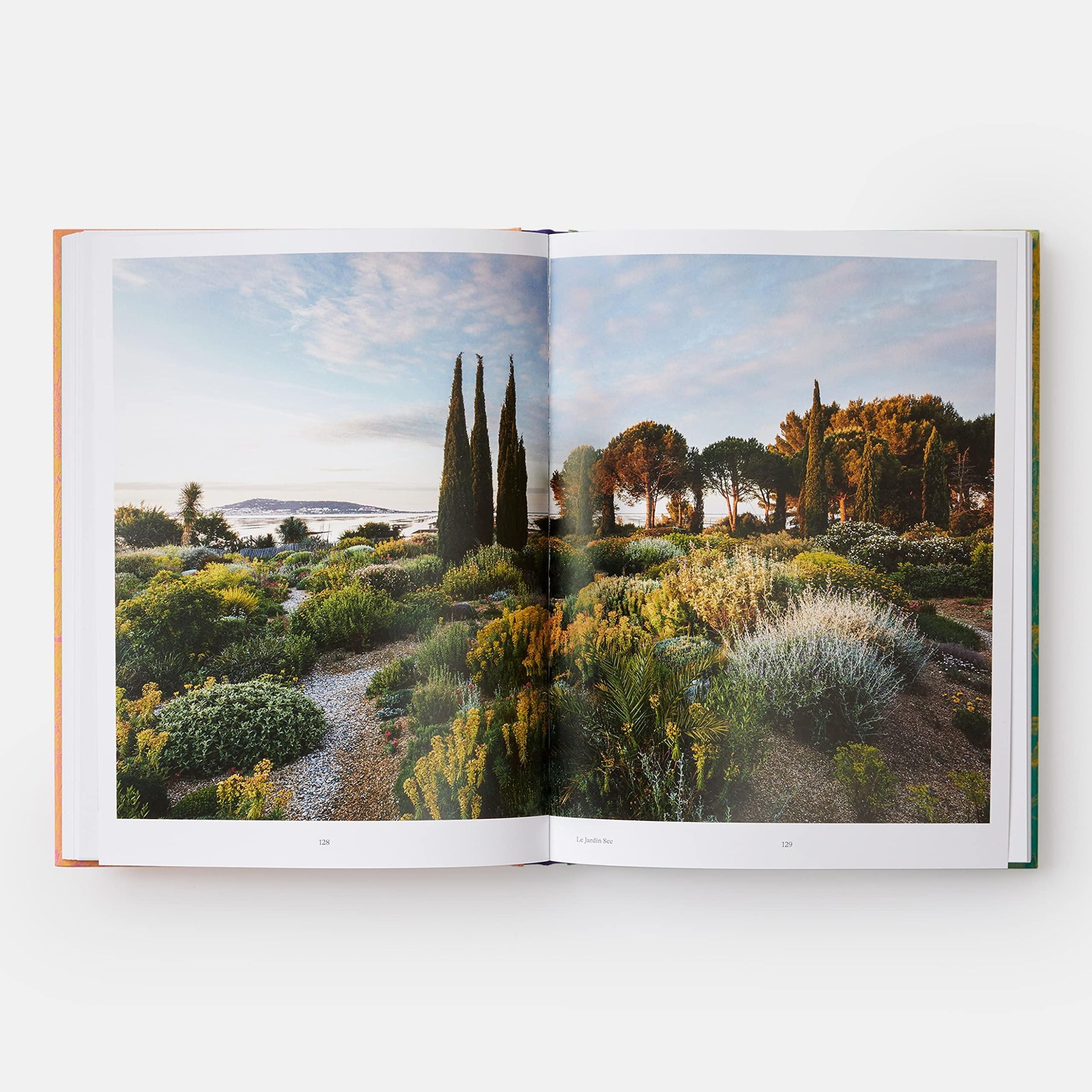 Bild: 9781838661052 | Wild | The Naturalistic Garden | Noel Kingsbury | Buch | Phaidon Press