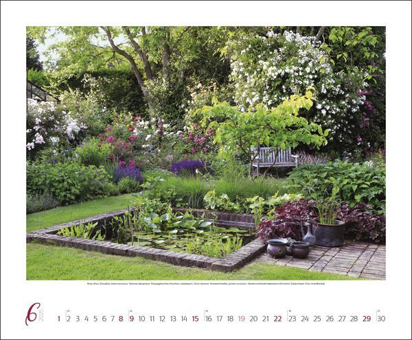 Bild: 9783731875925 | Gartenträume 2025 | Korsch Verlag | Kalender | Spiralbindung | 14 S.