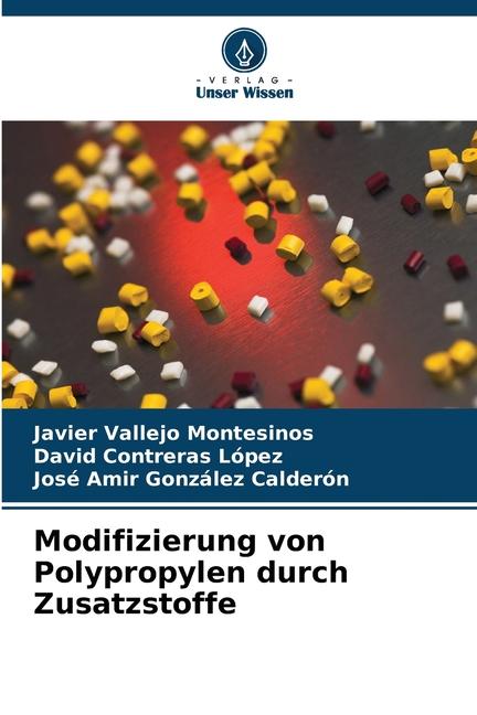 Cover: 9786205305430 | Modifizierung von Polypropylen durch Zusatzstoffe | Montesinos (u. a.)