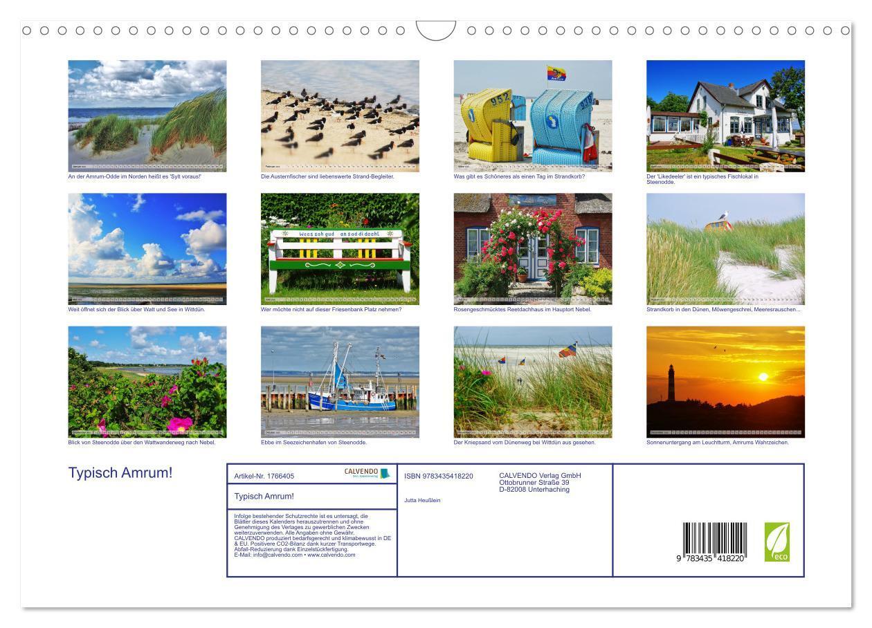 Bild: 9783435418220 | Typisch Amrum! (Wandkalender 2025 DIN A3 quer), CALVENDO...