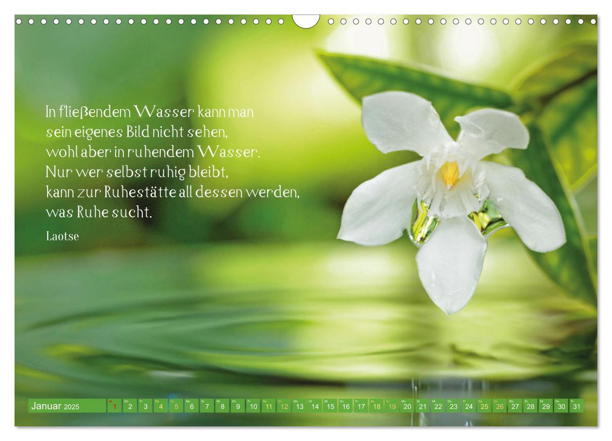 Bild: 9783383885198 | Natur-Meditationen - Nimm Dir Zeit (Wandkalender 2025 DIN A3 quer),...