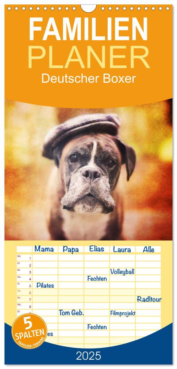 Cover: 9783457111598 | Familienplaner 2025 - Deutscher Boxer mit 5 Spalten (Wandkalender,...