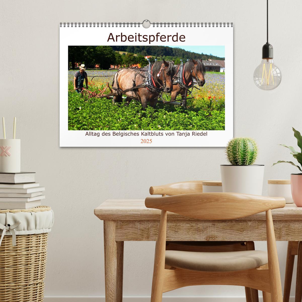 Bild: 9783435101795 | Arbeitspferde - Alltag des belgischen Kaltbluts (Wandkalender 2025...