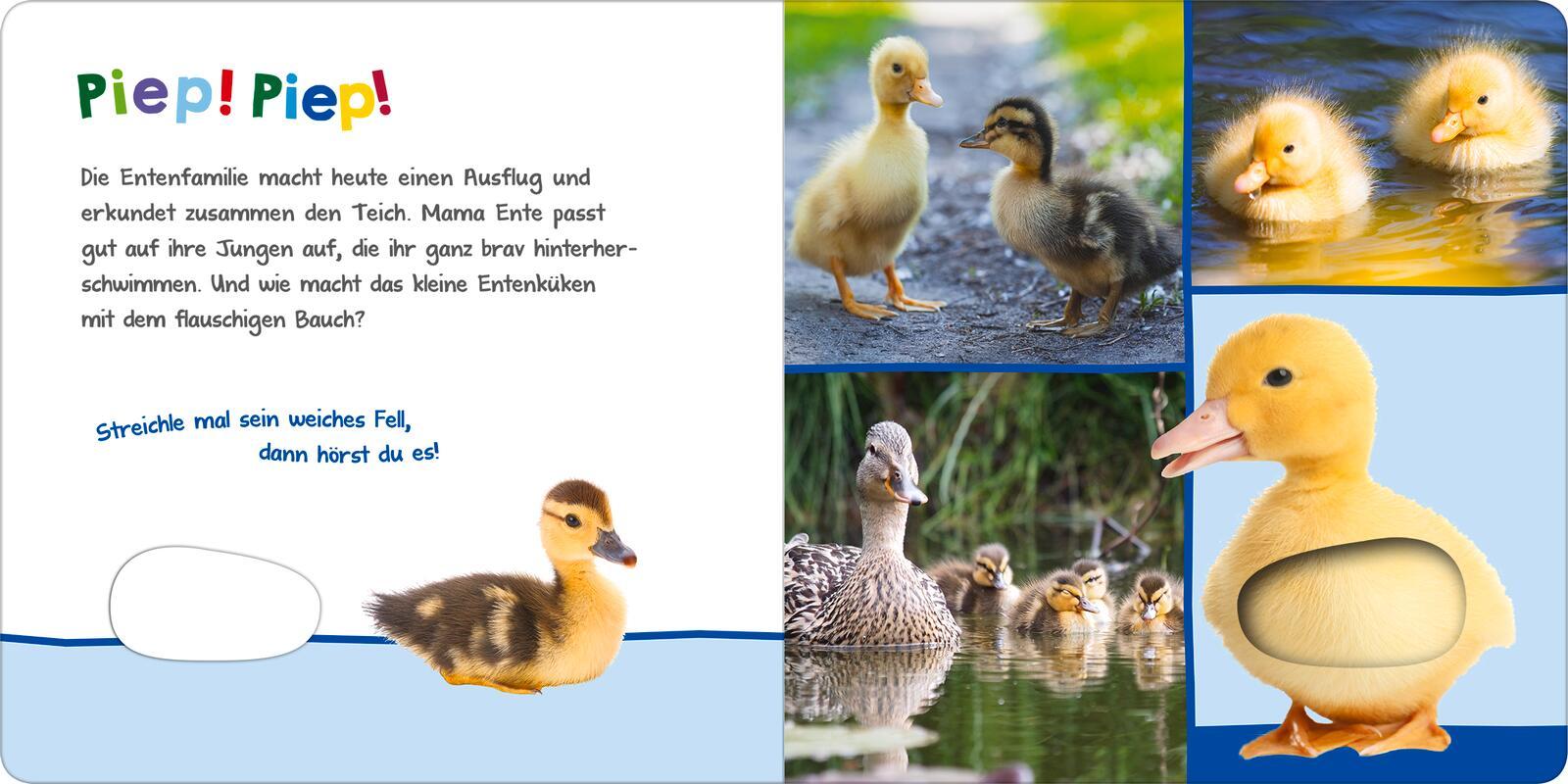 Bild: 9783845851082 | Hör mal rein, wer kann das sein? - Tierkinder im Frühling | Buch