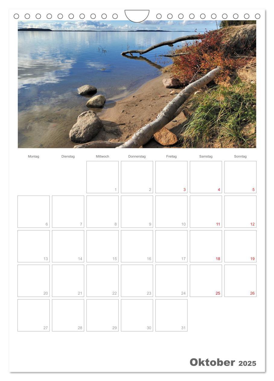 Bild: 9783457088340 | Insel Rügen / Planer (Wandkalender 2025 DIN A4 hoch), CALVENDO...