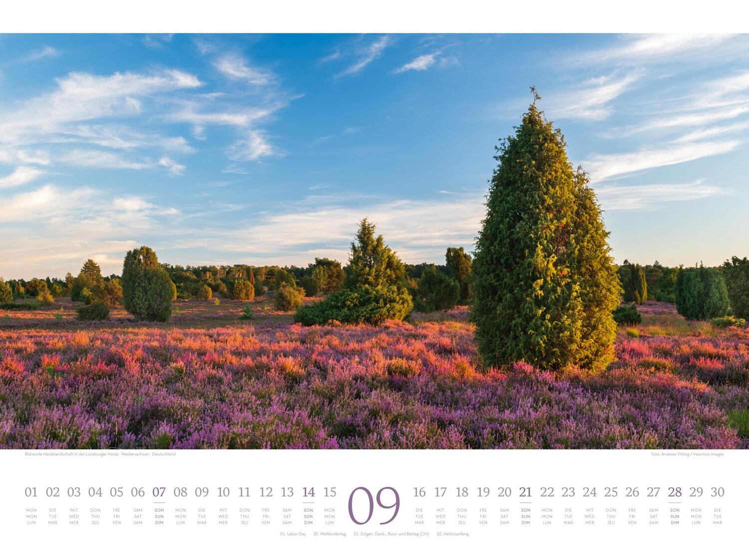 Bild: 9783838425801 | Harmonie Kalender 2025 | Ackermann Kunstverlag | Kalender | 14 S.