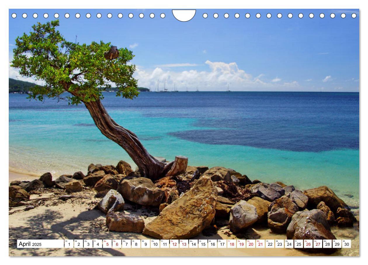 Bild: 9783435380435 | Martinique, die Traumstrände (Wandkalender 2025 DIN A4 quer),...