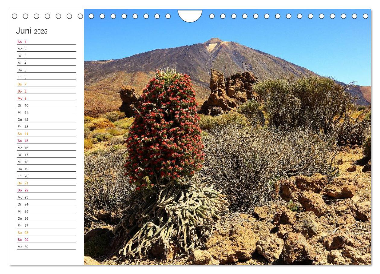 Bild: 9783435547692 | Der Norden von Teneriffa (Wandkalender 2025 DIN A4 quer), CALVENDO...