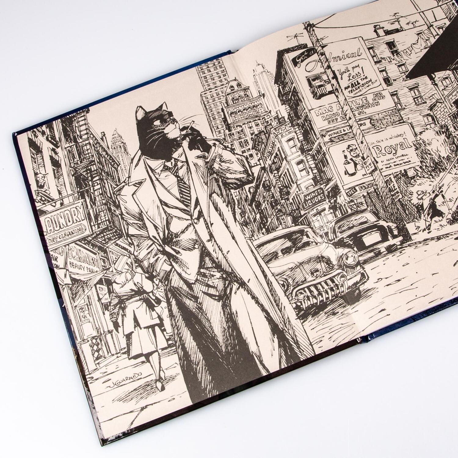 Bild: 9783551747662 | Blacksad 6: Wenn alles fällt - Teil 1 | Juan Díaz Canales | Buch