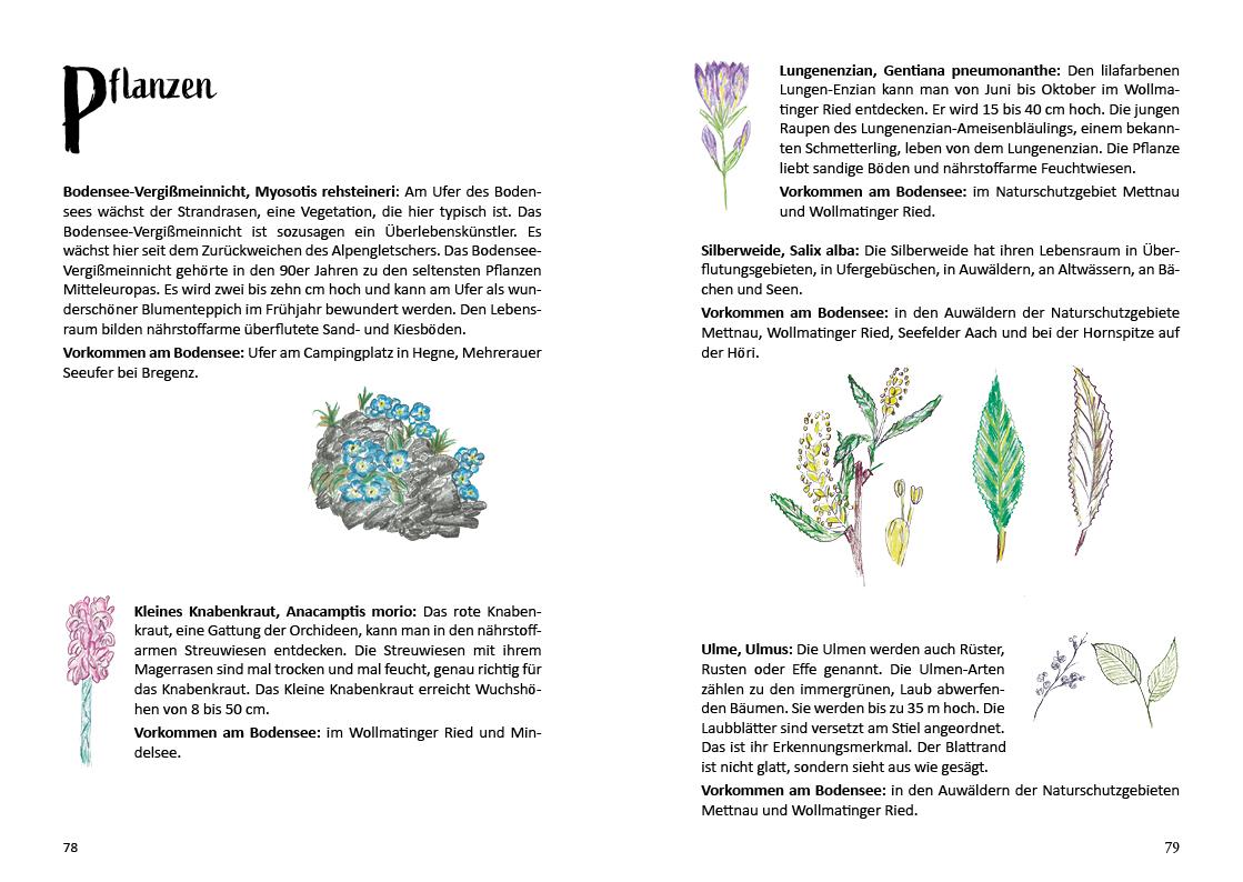 Bild: 9783861968726 | 's Heimatbüchle vom Bodensee | Silke Schäfer | Taschenbuch | 120 S.