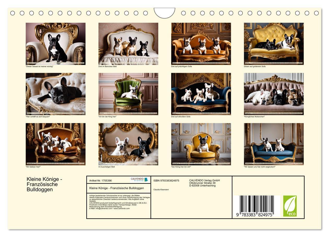 Bild: 9783383824975 | Kleine Könige - Französische Bulldoggen (Wandkalender 2025 DIN A4...