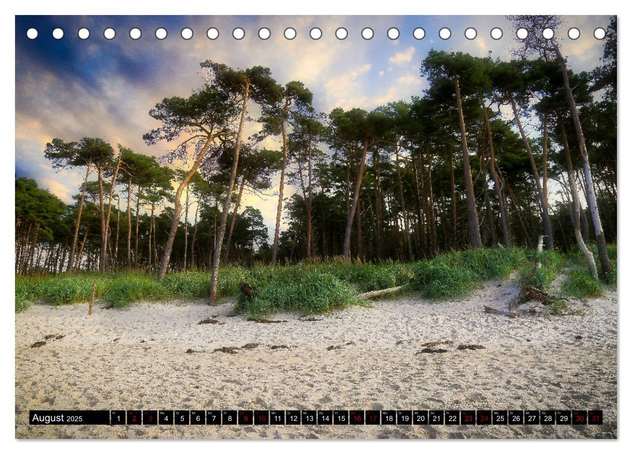 Bild: 9783435023288 | Fischland - Darß- Zingst (Tischkalender 2025 DIN A5 quer), CALVENDO...