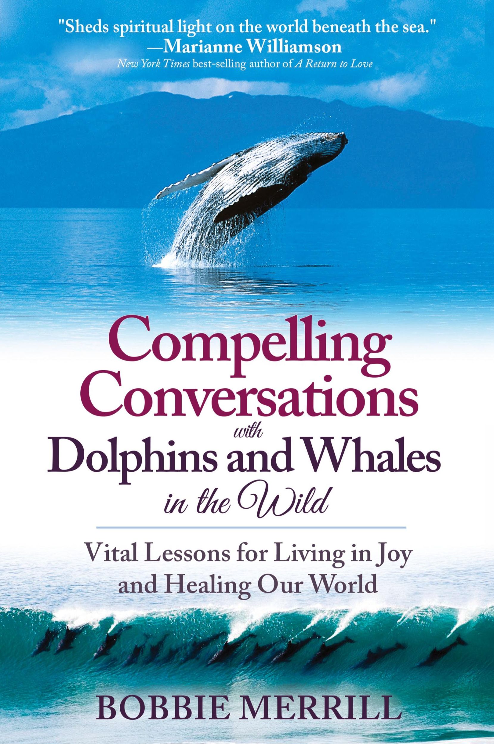 Cover: 9780578192857 | Compelling Conversations with Dolphins and Whales in the Wild | Buch