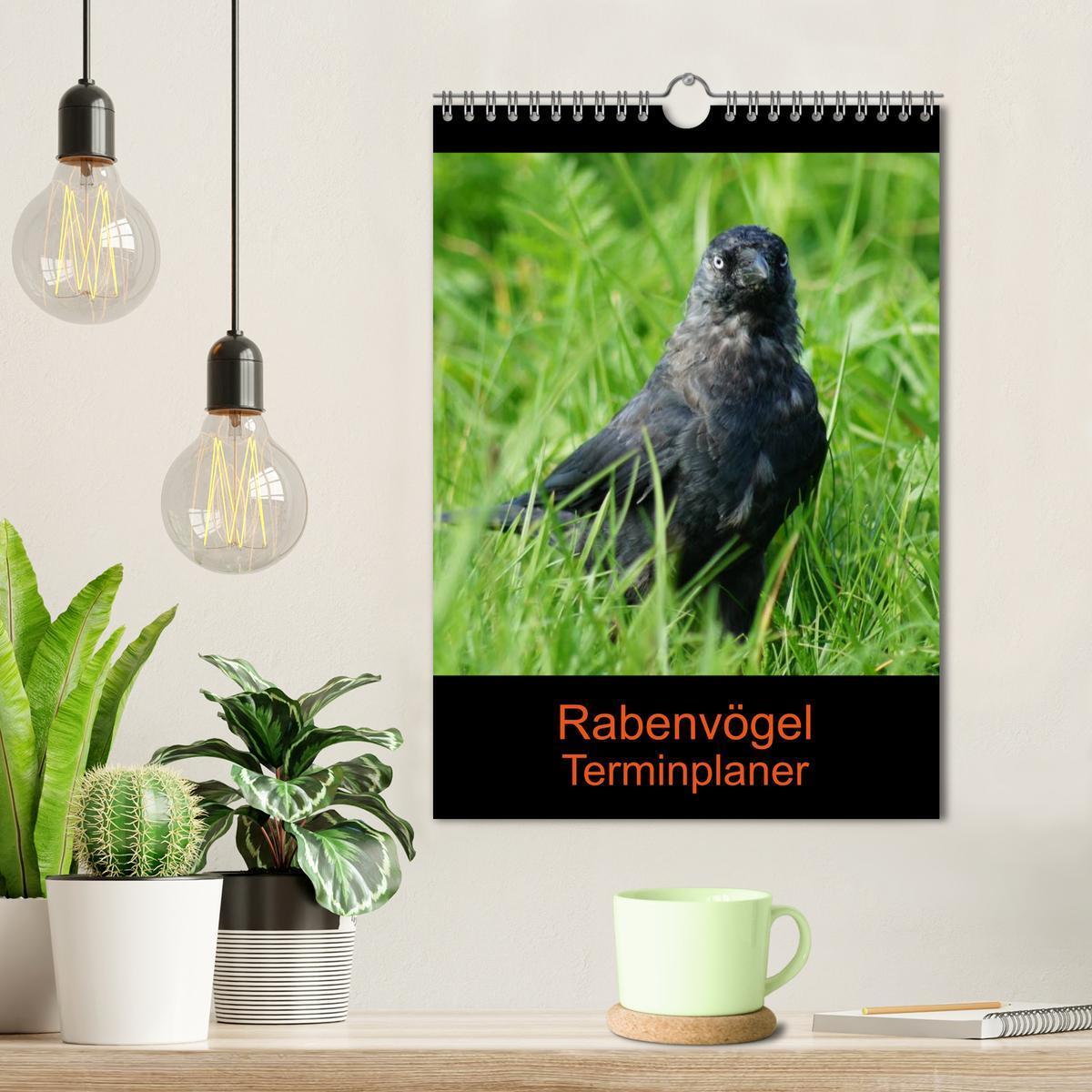 Bild: 9783457021088 | Rabenvögel Terminplaner (Wandkalender 2025 DIN A4 hoch), CALVENDO...