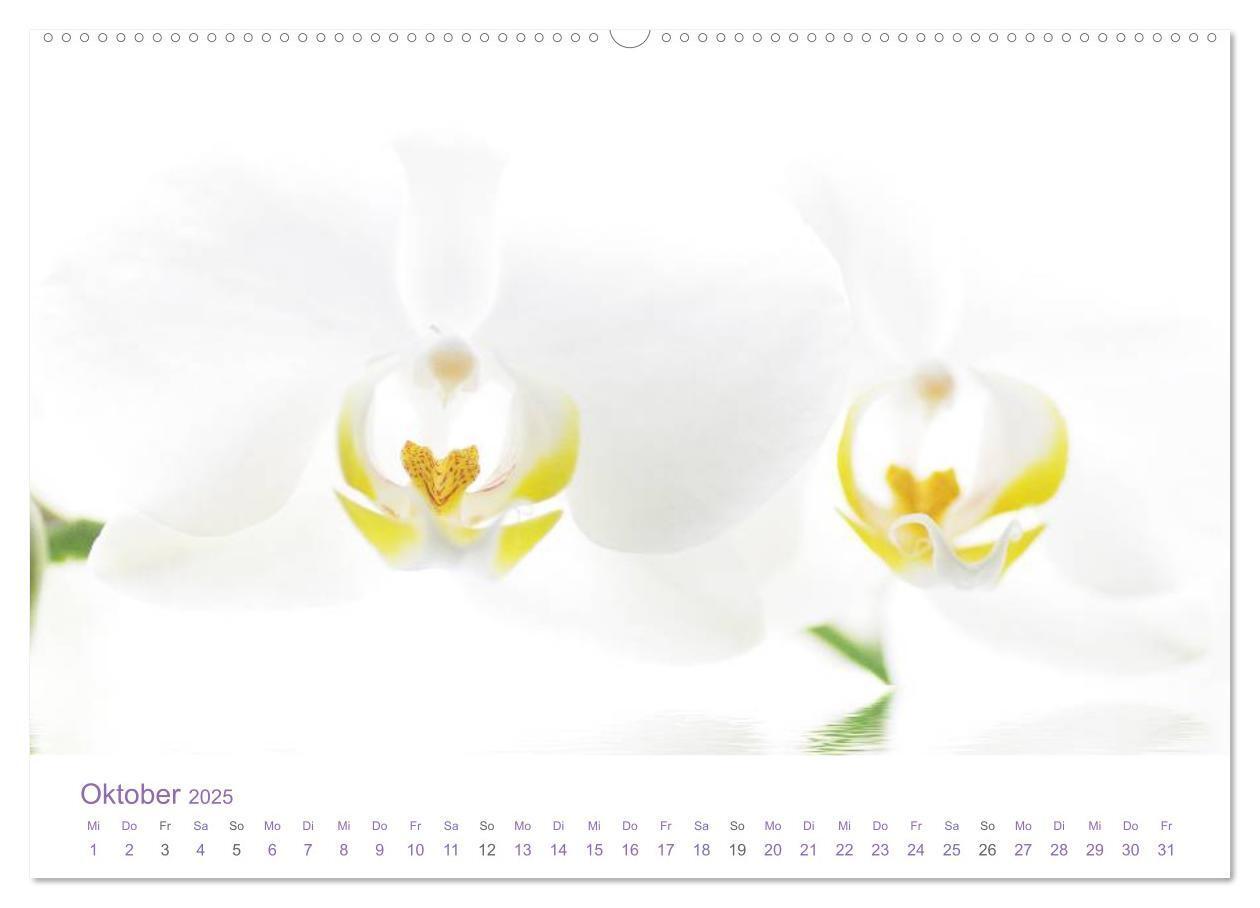 Bild: 9783435809516 | Blumen &amp; Blüten Träume (Wandkalender 2025 DIN A2 quer), CALVENDO...