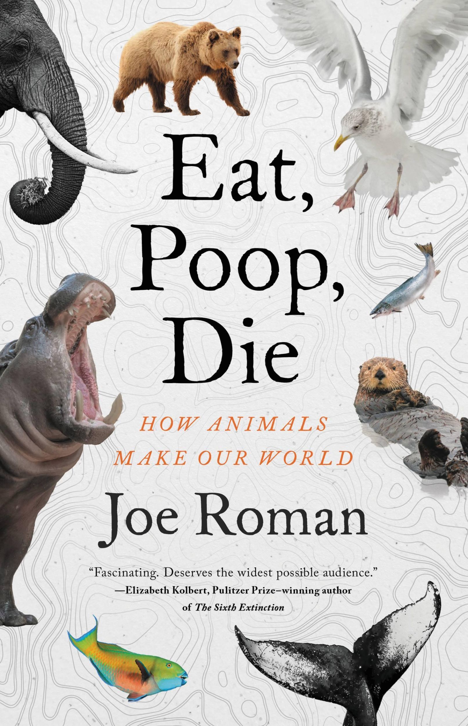 Cover: 9780316372923 | Eat, Poop, Die | How Animals Make Our World | Joe Roman | Buch | 2023