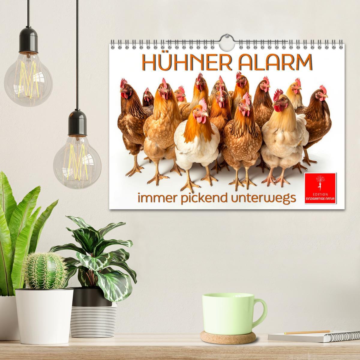 Bild: 9783383767999 | Hühner Alarm (Wandkalender 2025 DIN A4 quer), CALVENDO Monatskalender