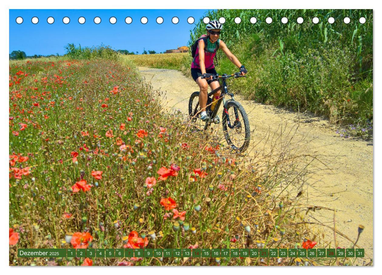 Bild: 9783383886423 | Biken - Impressionen von Rolf Dietz (Tischkalender 2025 DIN A5...