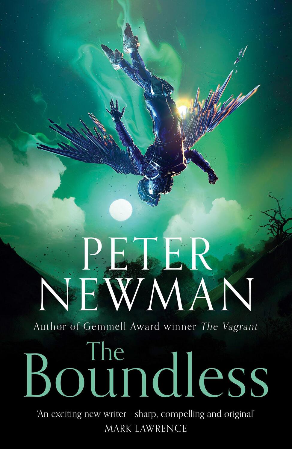 Cover: 9780008229115 | The Boundless | Peter Newman | Taschenbuch | 448 S. | Englisch | 2021