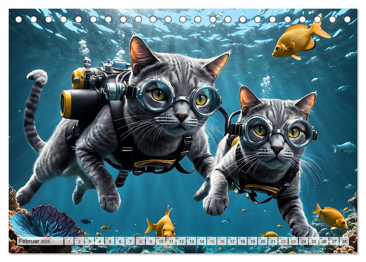 Bild: 9783383843945 | Katzen unter Wasser (Tischkalender 2025 DIN A5 quer), CALVENDO...