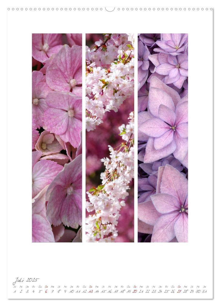 Bild: 9783457046609 | Natur Farben Dreiklang (Wandkalender 2025 DIN A2 hoch), CALVENDO...