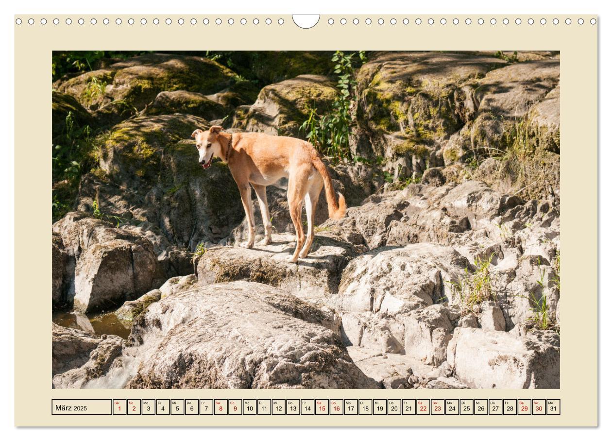 Bild: 9783383841927 | Mit dem Windhund unterwegs im zauberhaften Bergischen Land...