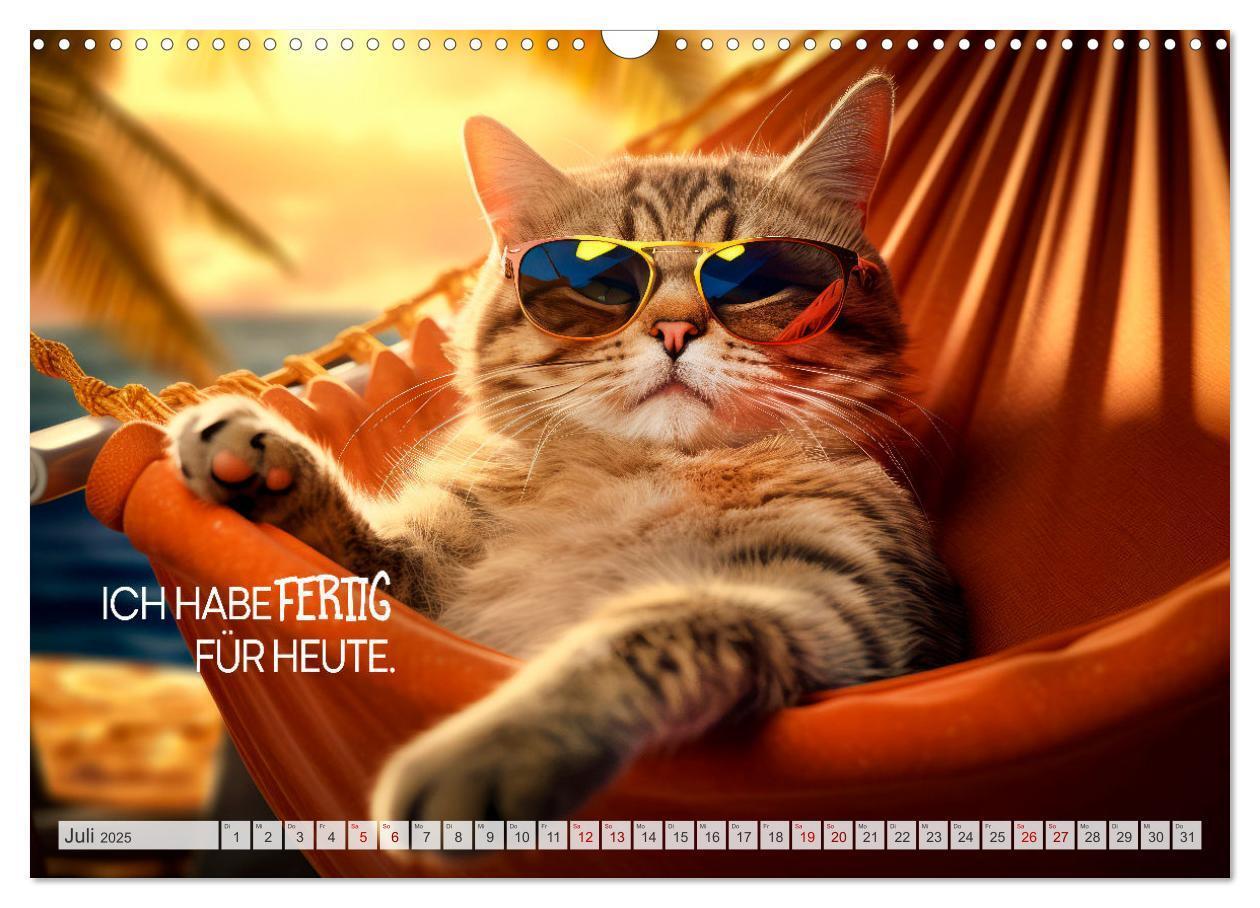 Bild: 9783383773457 | Süße Katzen und coole Sprüche (Wandkalender 2025 DIN A3 quer),...