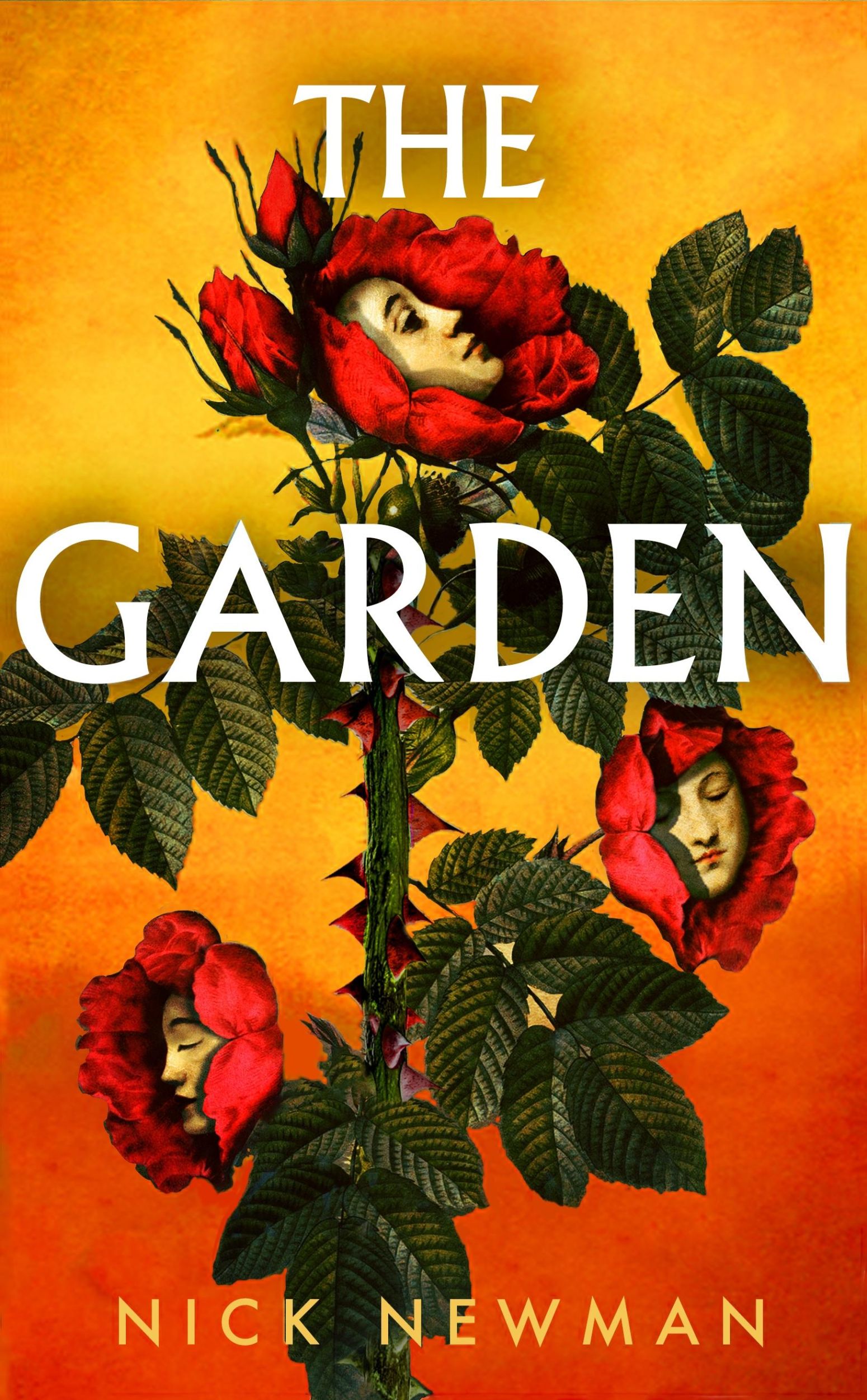 Cover: 9781529923940 | The Garden | Nick Newman | Taschenbuch | Englisch | 2025