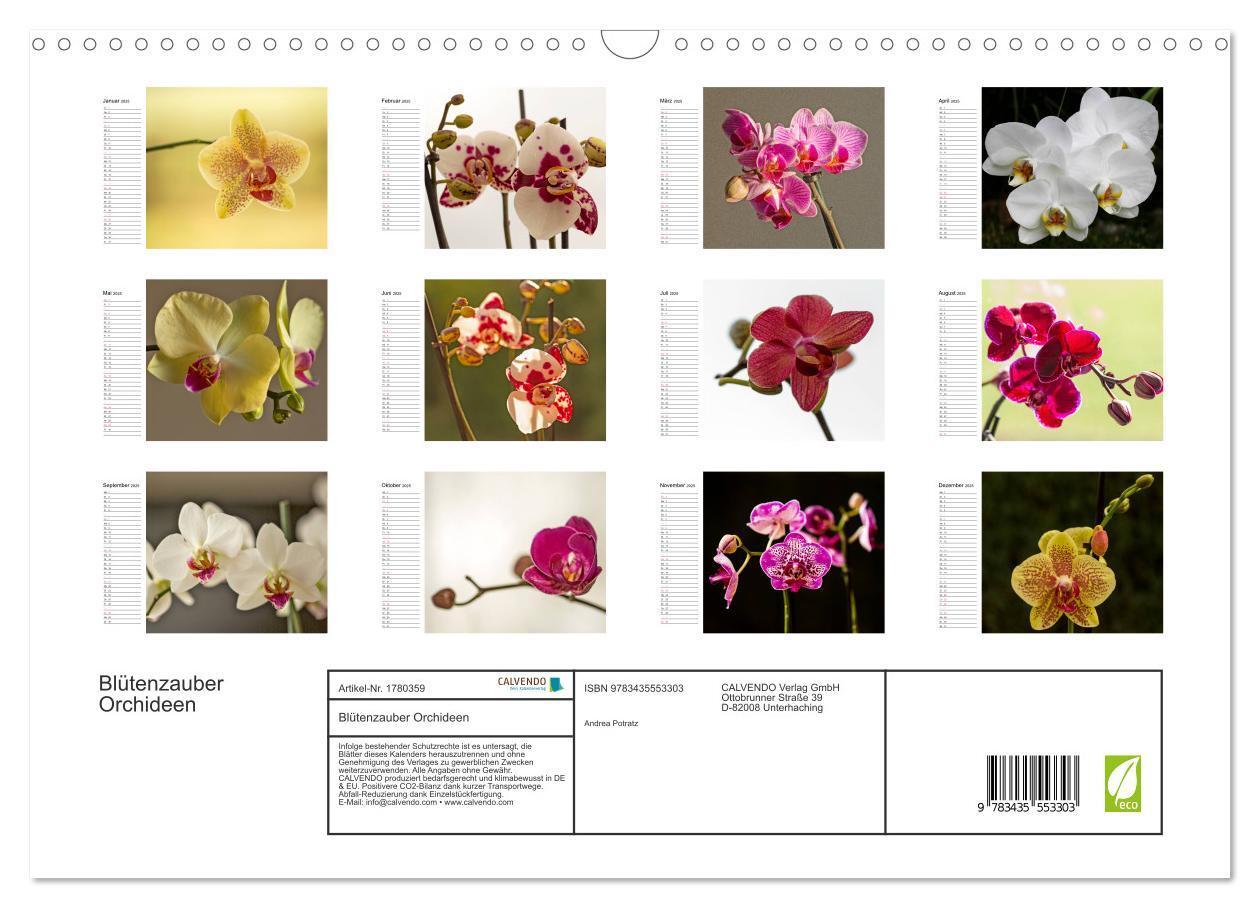 Bild: 9783435553303 | Blütenzauber Orchideen (Wandkalender 2025 DIN A3 quer), CALVENDO...