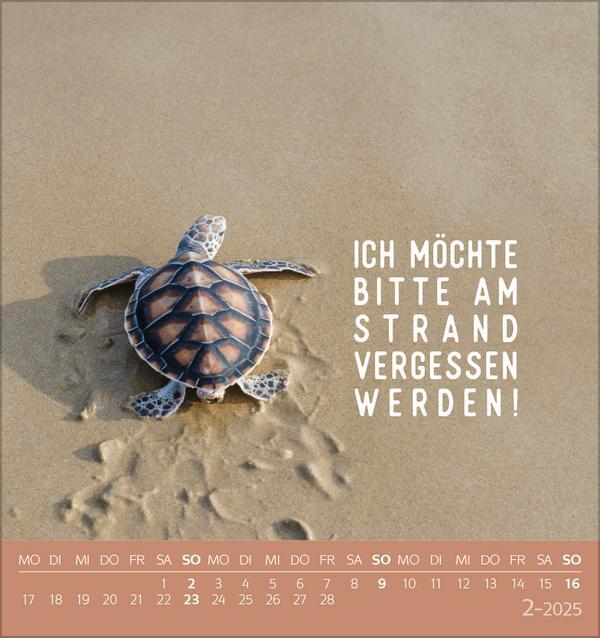 Bild: 9783731876359 | Urlaubsreif 2025 | aufstellbarer Postkartenkalender | Verlag Korsch