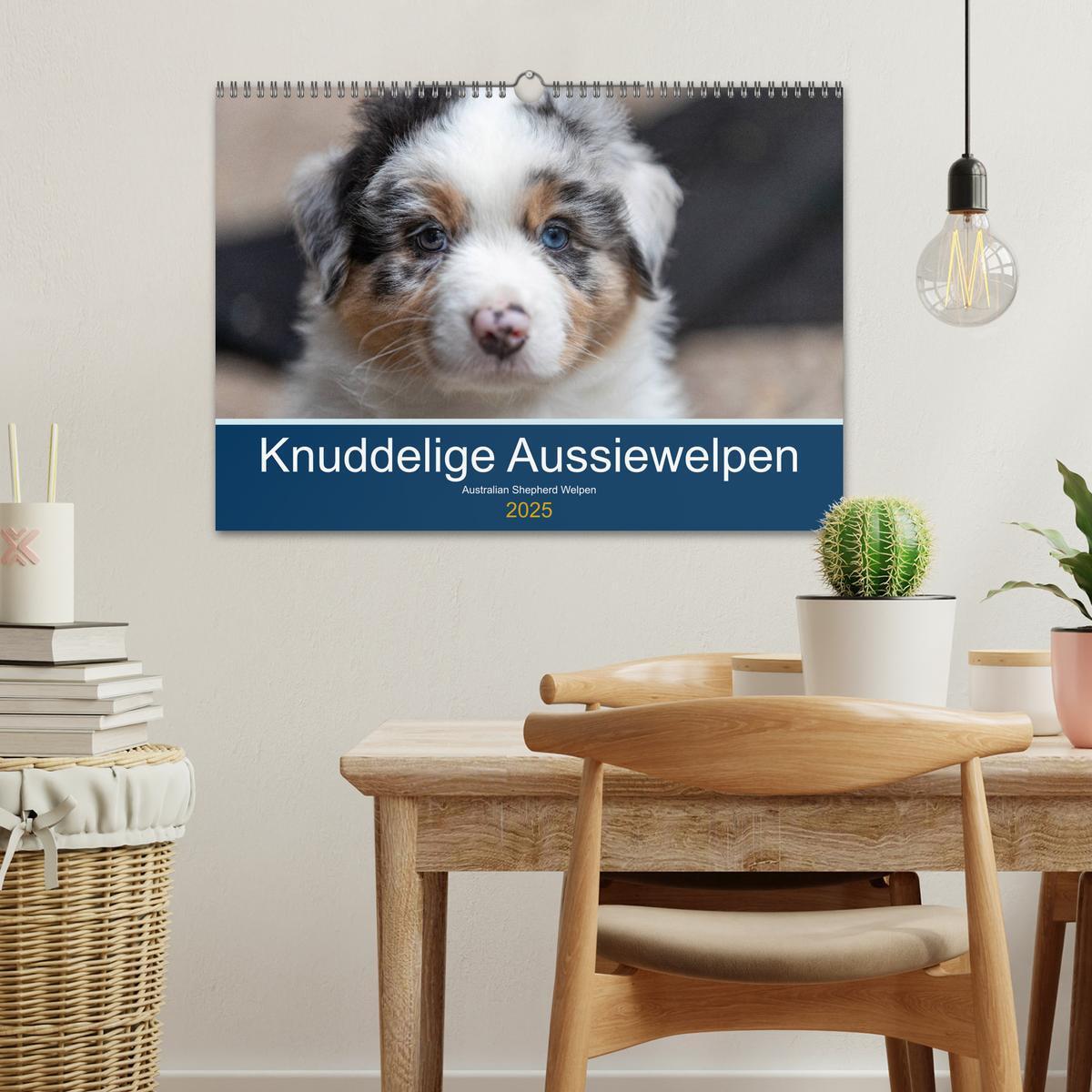 Bild: 9783435151035 | Australian Shepherd Welpen 2025 (Wandkalender 2025 DIN A3 quer),...