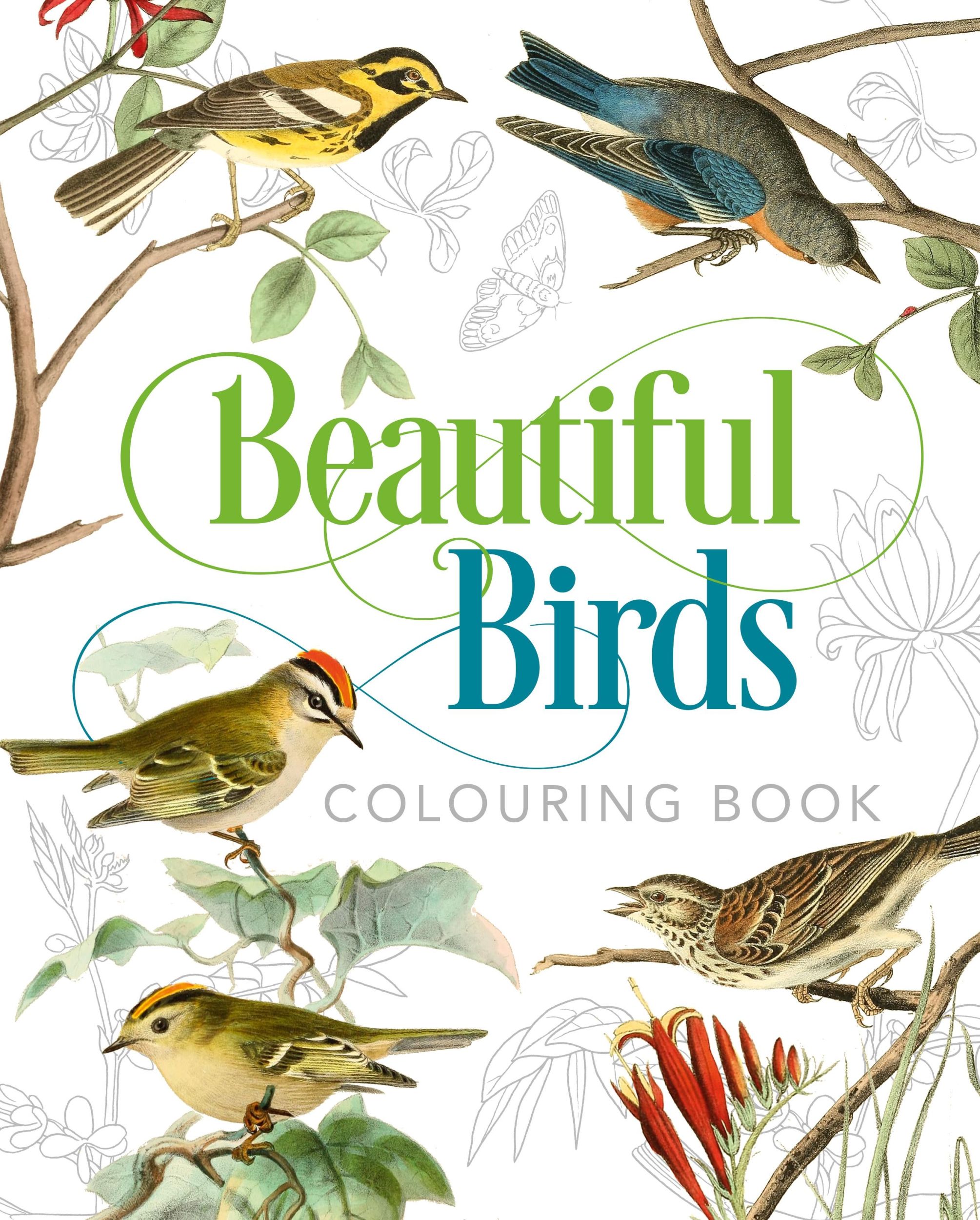 Cover: 9781789501063 | Gray, P: Beautiful Birds Colouring Book | Peter Gray | Taschenbuch