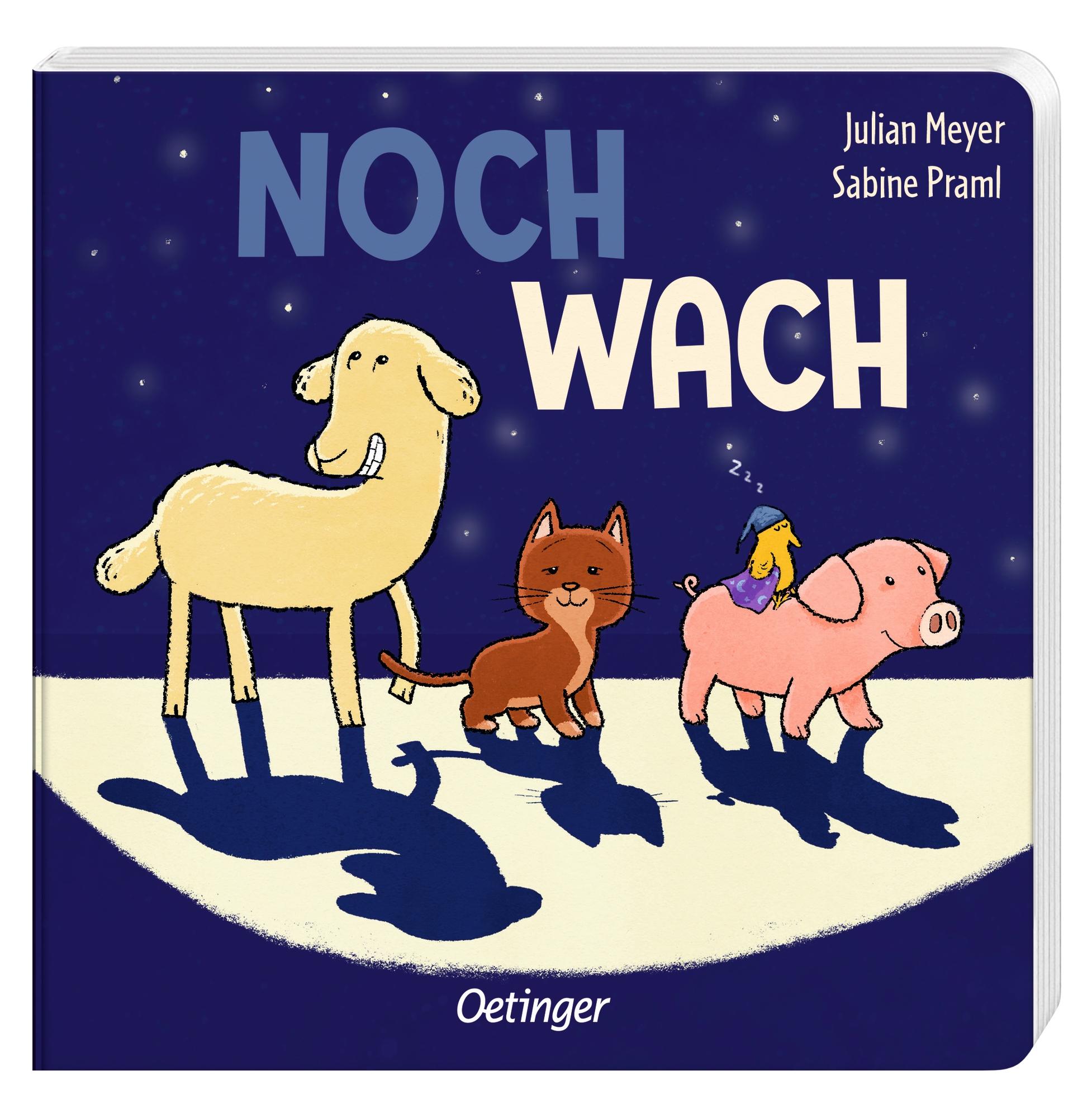 Bild: 9783751204361 | Noch wach | Sabine Praml | Buch | 16 S. | Deutsch | 2024 | Oetinger